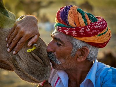 你好，世界第9期获奖作品