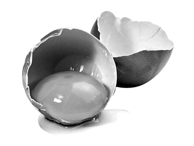 研究：散养鸡蛋比笼养鸡蛋污染物高