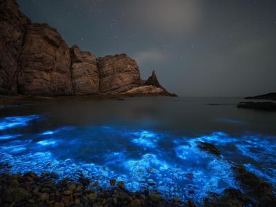 你好，世界第12期获奖作品