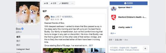 (Boo的主人在其脸书页面上发布了Boo去世的消息)