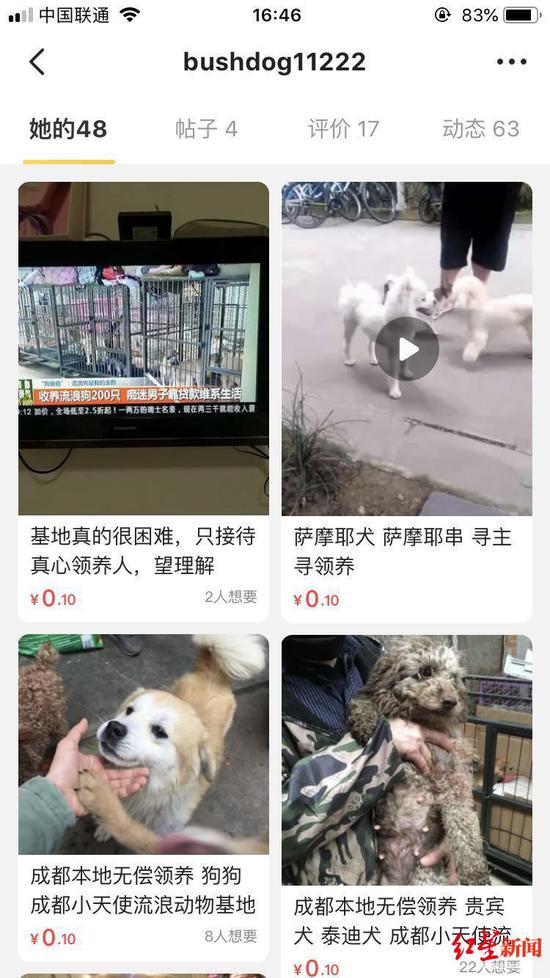 男子贷60万养200多条流浪狗 7旬父母打工帮他还债