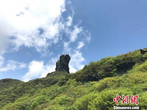 资料图: 贵州省铜仁市梵净山自然保护区。冷桂玉 摄