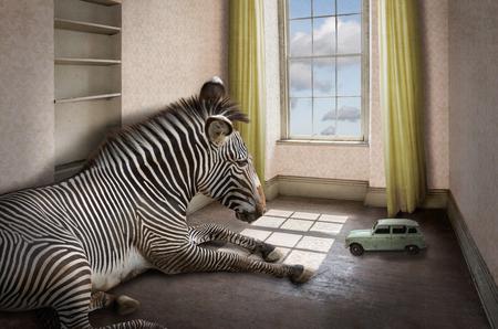 2017“伯奇杯”摄影展获奖作品精选