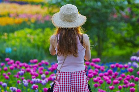 “春意盎然”入展作品网展