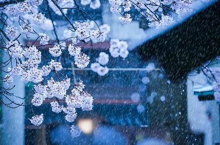 “禅意摄影月赛”三期获奖作品