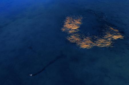 你好，世界！第10期获奖作品