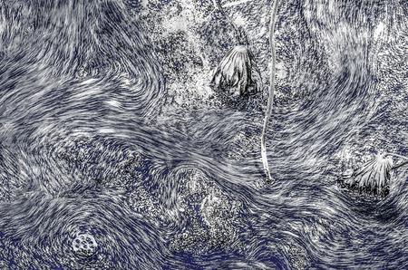 禅意摄影月赛第五期获奖作品