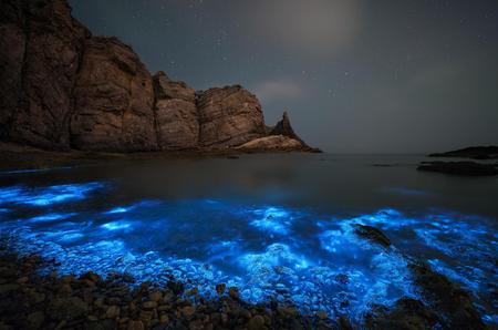 你好，世界第12期获奖作品