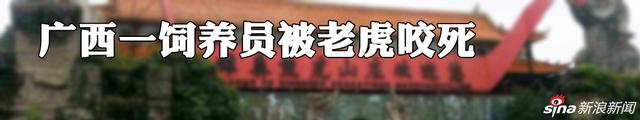 广西熊虎山庄一饲养员被老虎咬死 山庄已停止对外开放