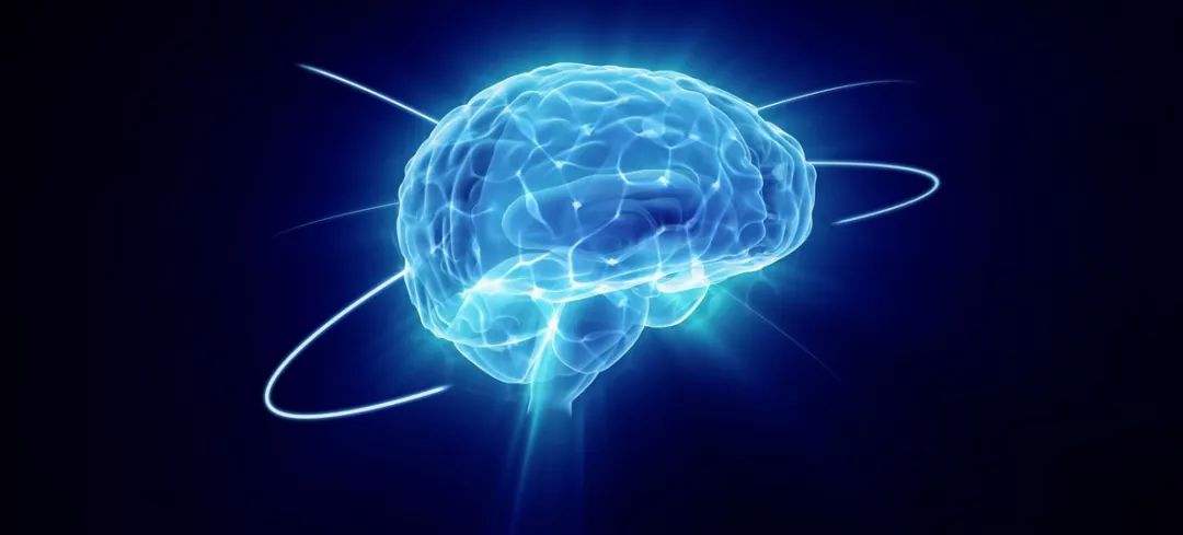 脑科学国际学术大会8月举办