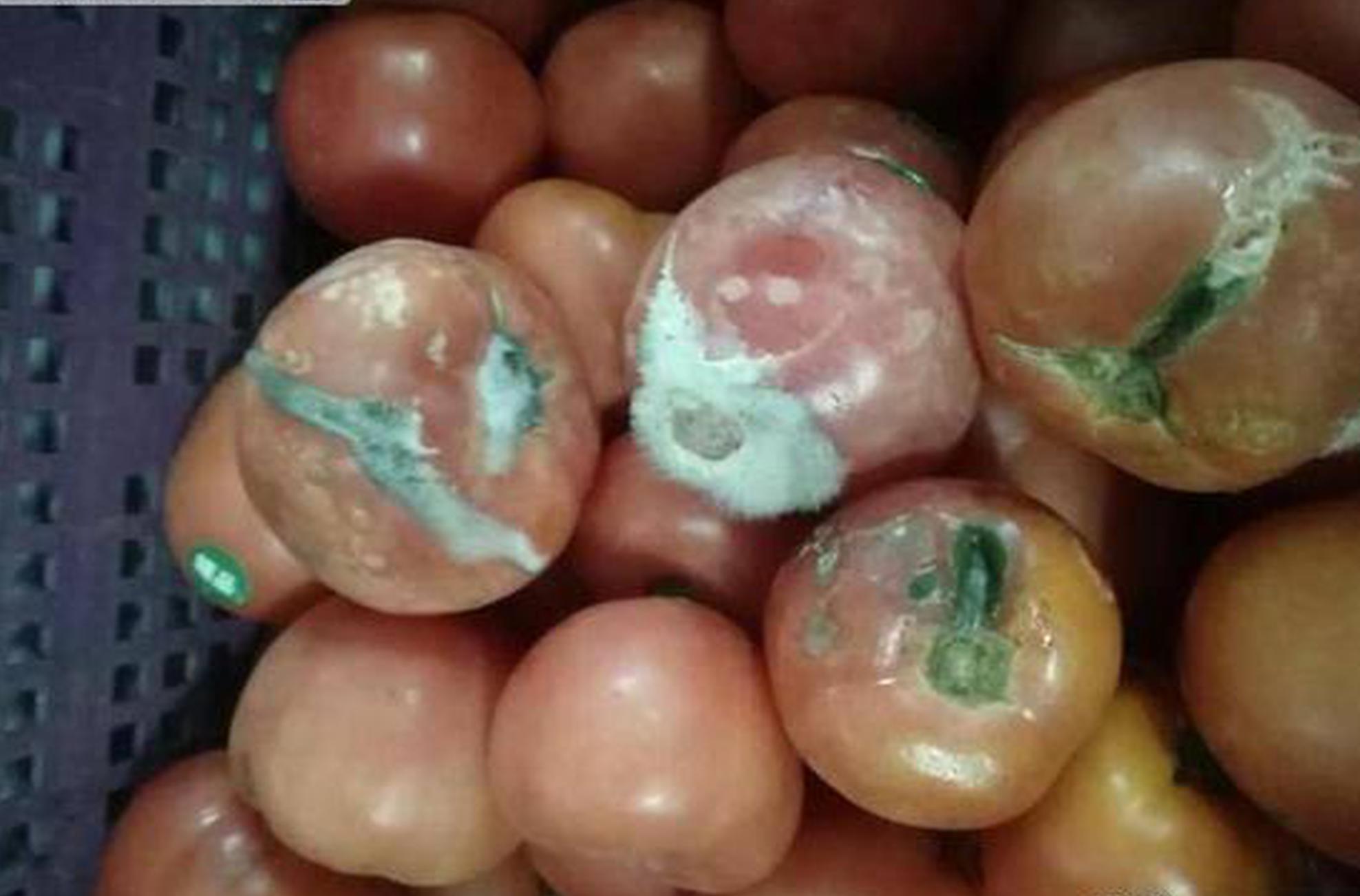 宁波桑拿 新手必看!第一次进澡堂如何不尴尬?,宁波桑拿海选