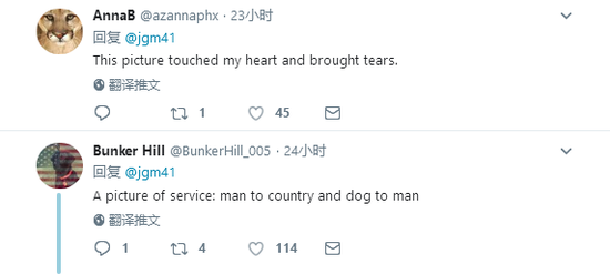 网友纷纷点赞,称被萨利的忠诚所感动。