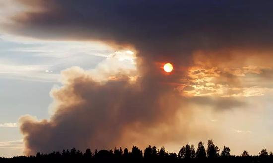 高温肆虐全球森林大火烧入北极圈 是什么原因