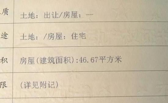 狮子会平台·在一些农村 苹果iPhone成为必备彩礼