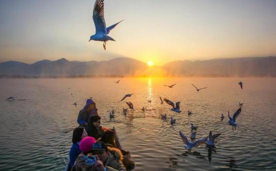 近年来，泸沽湖生态保护完好，凭靠得天得厚的生态自然环境吸引众多游客前来游览。 东方I C 资料图