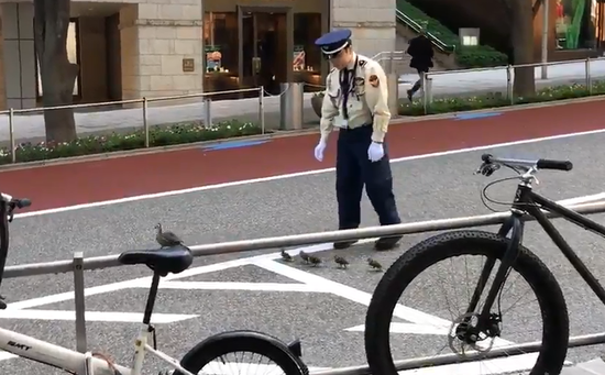 视频：超暖心！日本一交通指挥员指挥小鸭子过马路