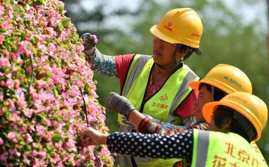 民族文化宫的“民族团结”花坛，园林工人在做最后的调整工作。摄影/新京报记者 吴江