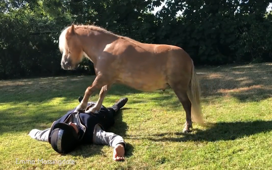 视频：有用吗？英女子训练两小马施展心肺复苏术