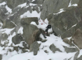 违规攀登雪山女子被雪覆盖照曝光:正拟新救援方案