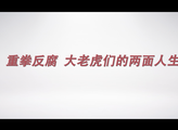 大老虎们的两面人生｜新浪新闻两会策划