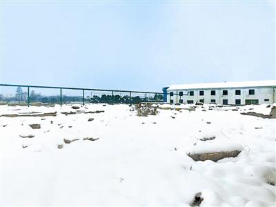 2018年1月,平整后的新坤兴生态农业公司养猪场场址。