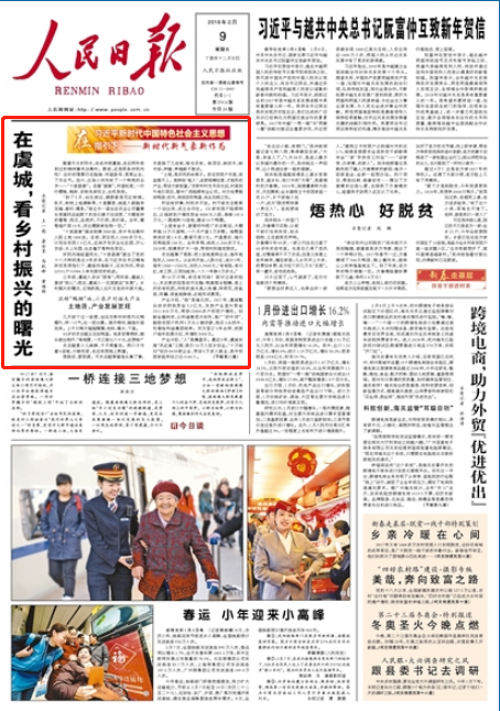 报道截图