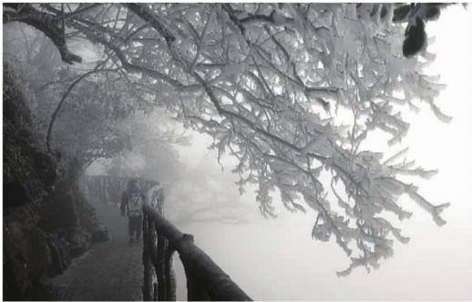 　　12月14日，受寒潮影响，平均海拔1400多米的张家界天门山国家森林公园出现了漫山遍野的雾凇奇观，整个景区被装扮成了水晶宫般的童话世界。符建华 摄