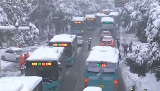 全国七省出现大到暴雪 多地积雪超20厘米