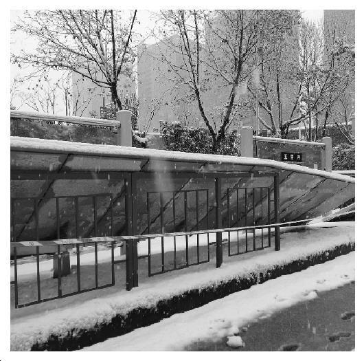 图为合肥市一处被积雪压塌的公交站台。　范天娇 摄