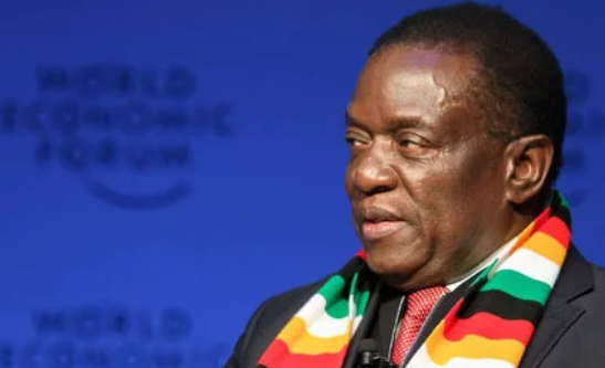 津巴布韦总统:未给予穆加贝司法豁免权