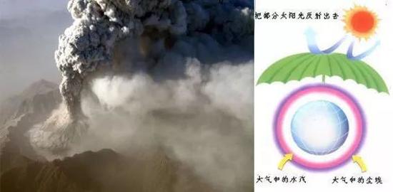 ▲火山灰薄层