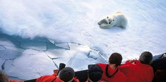 澎湃新闻:中国游客成俄北极游主力 每年1班船专供中国人
