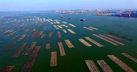 新华社解码中央经济工作会议公报:明确三大攻