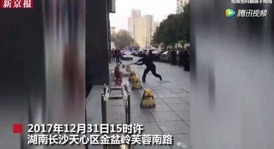 新京报:新京报评散布杀狗民警隐私者被拘:狗粉亦不例外