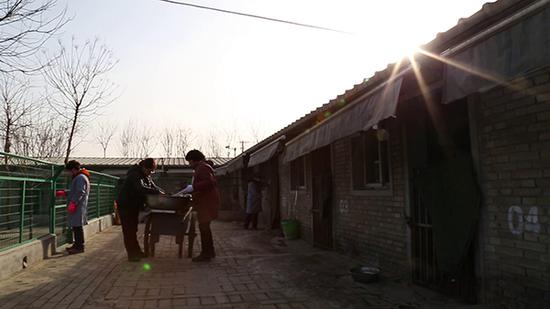 2月10日上午，蒋宏和员工为救助的犬只喂食。
