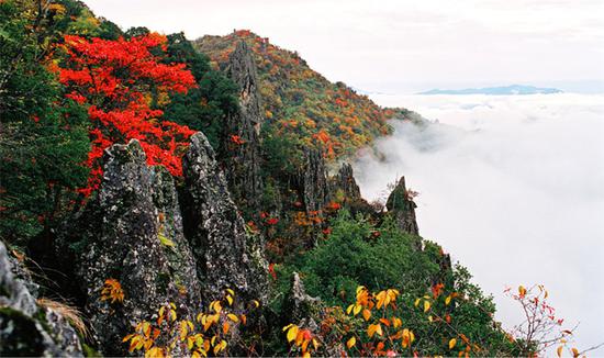 西渝高铁预计明年开建 重庆2小时可到西安|西渝
