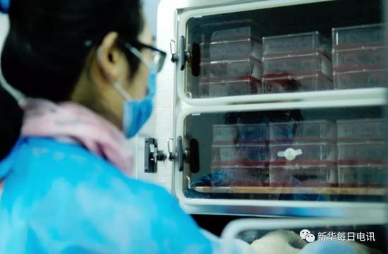  Researchers of Tu Youyou's team stored the blood with malaria parasites in the refrigerator. Photographed by Meng Jing, a reporter from Xinhua News Agency