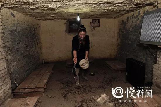 为了防止蛇屋里干燥,胡晓霞给地上浇水
