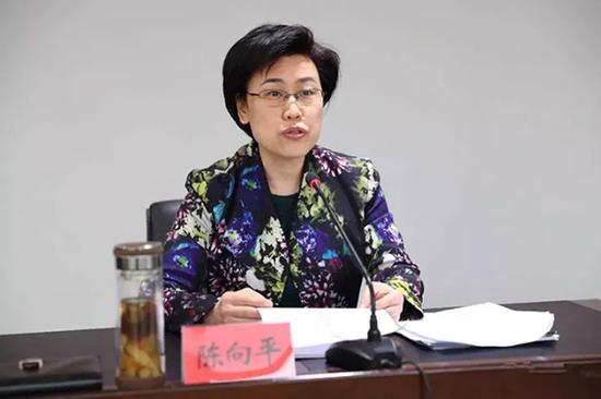 陈向平 金水路观察微信公众号 图