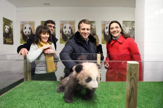 2017年12月16日，法国总统马克龙（前中）在圣艾尼昂市博瓦勒野生动物园看望大熊猫宝宝“圆梦”。（资料图片）