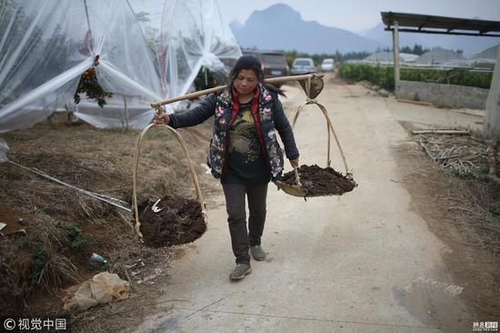 千万富姐隐居深山挑粪种地 只读过小学2年级(