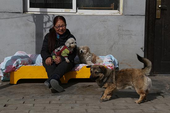 2月10日中午，蒋宏与救助的小狗们在院子里晒太阳。
