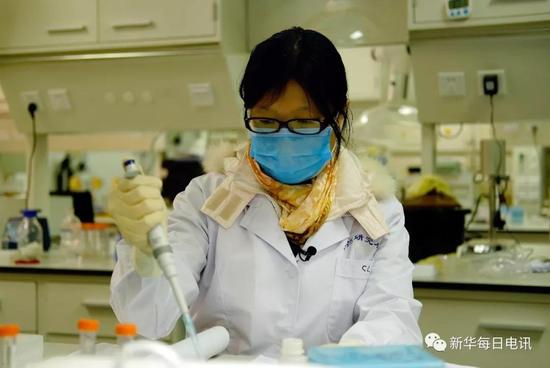 屠呦呦团队研究人员正在进行疟原虫相关药物机理试验。新华社记者 孟菁摄