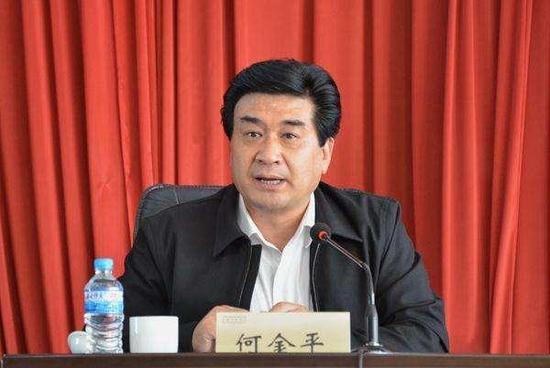 何金平 资料图