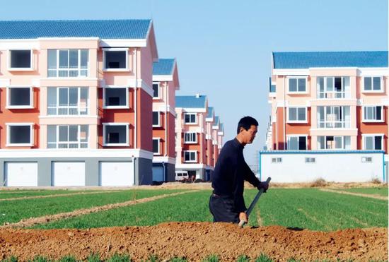 华龙网:资深土地问题专家:宅基地改革是止住乡村衰败关键