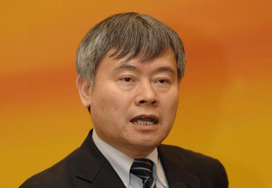 蔡继明 视觉中国 资料