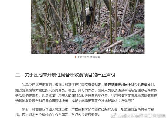 新浪综合:成都大熊猫基地被曝虐待大熊猫收费合影 基地辟谣