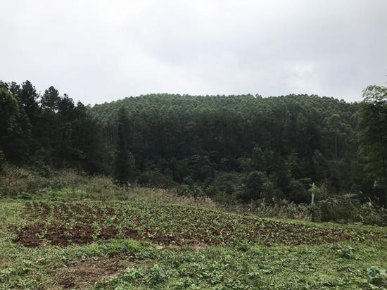 山村景象。