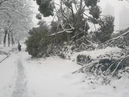 半数国土都下雪了 为什么偏偏绕过京津冀？