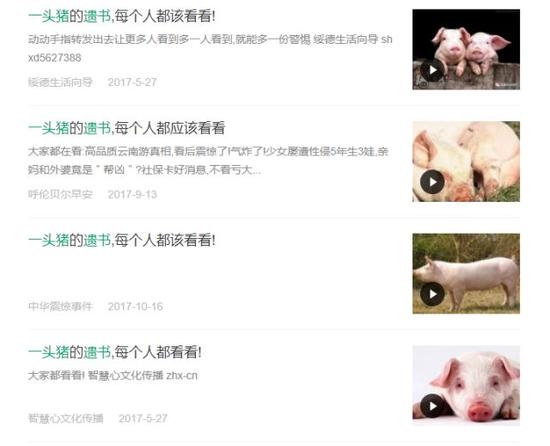 中国的猪肉全都有毒不能吃了？真相会让你惊呆